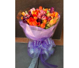 F28 60 PCS MULTI COLOUR TULIPS BOUQUET